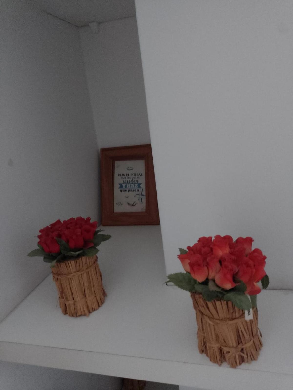 Relax En Palermo Con Gran Balcon Y Wifi 300Mb 布宜诺斯艾利斯 外观 照片